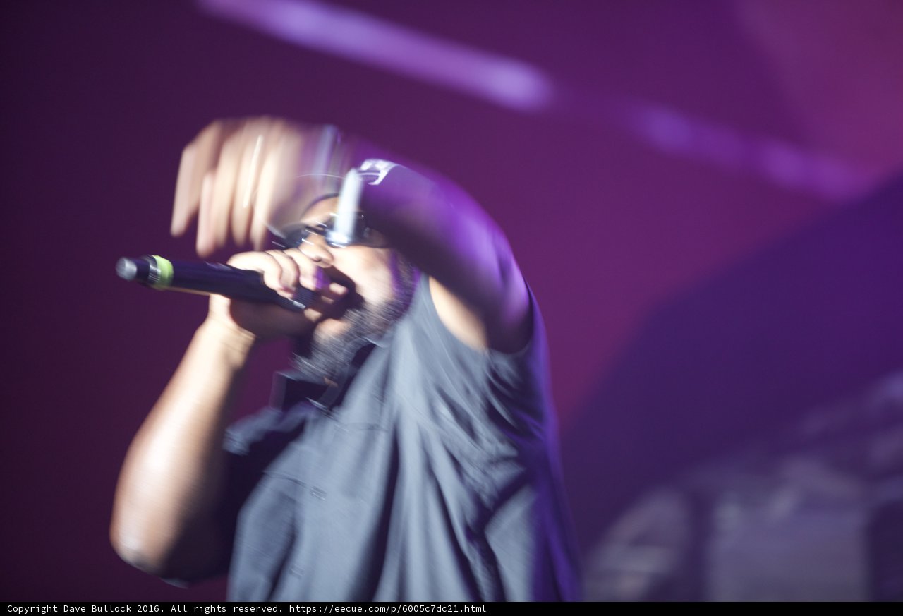 The Mic Maestro