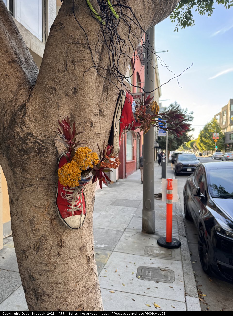 Arbor of Art: Shoe-ing Away the Ordinary