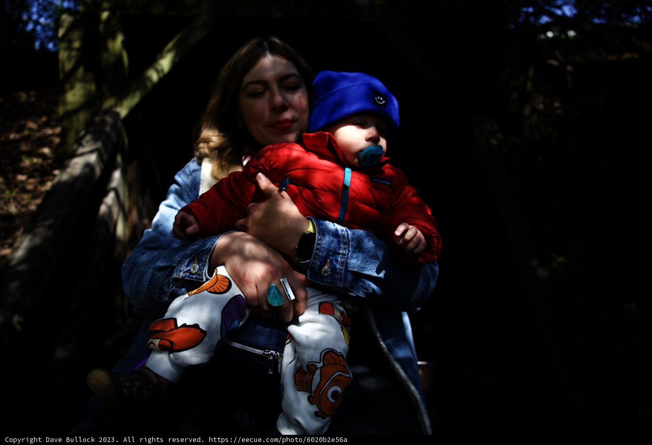 Cherished Moments in Tilden Park