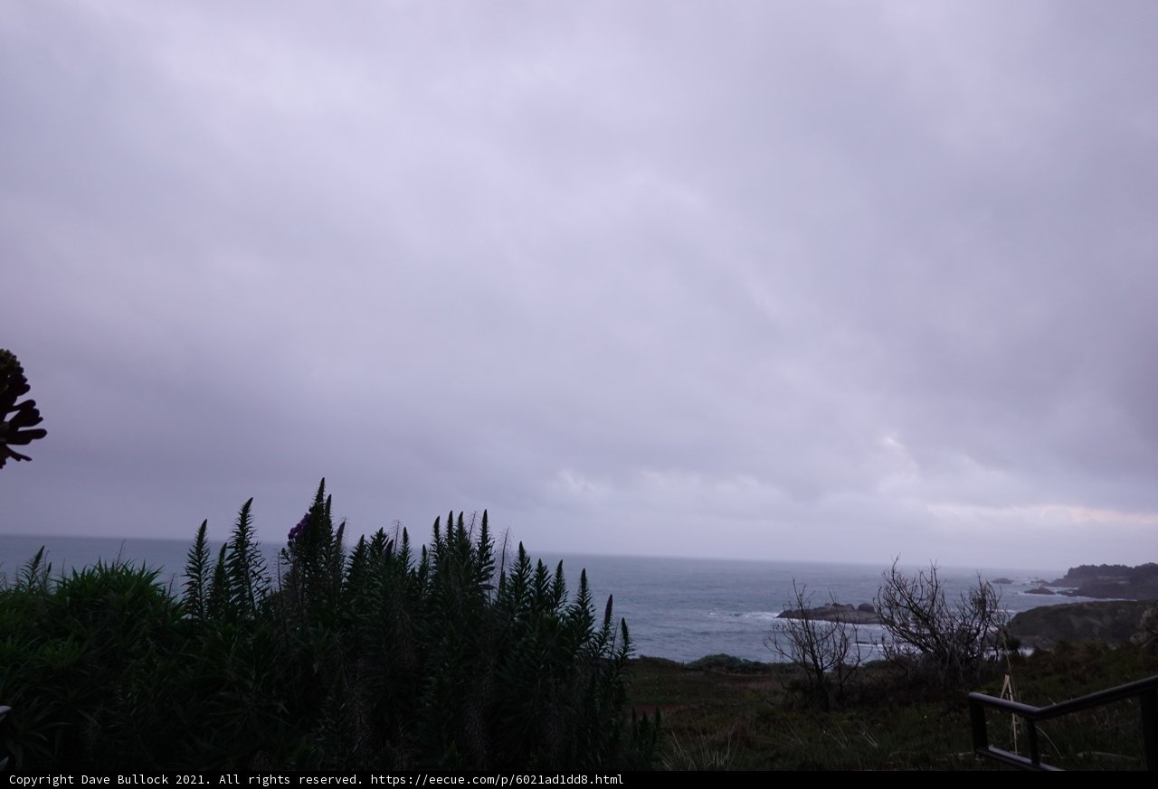 Tranquil Ocean View from Hillside