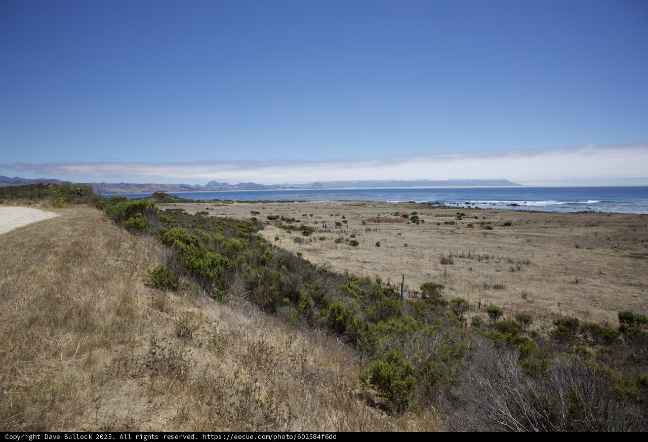 Serenity Along the Coast