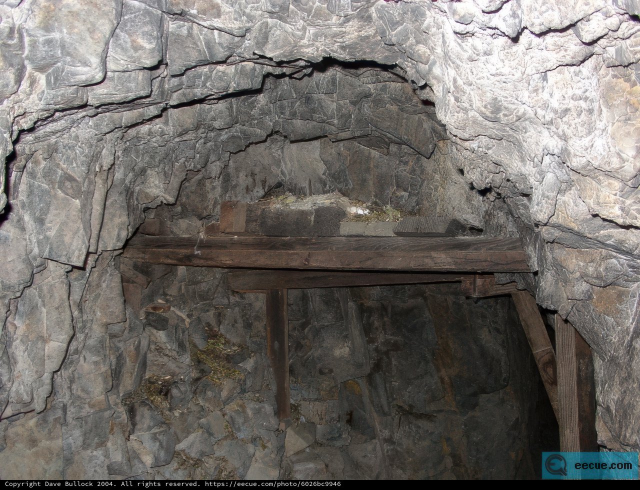 Wooden Bench in a Mysterious Dungeon
