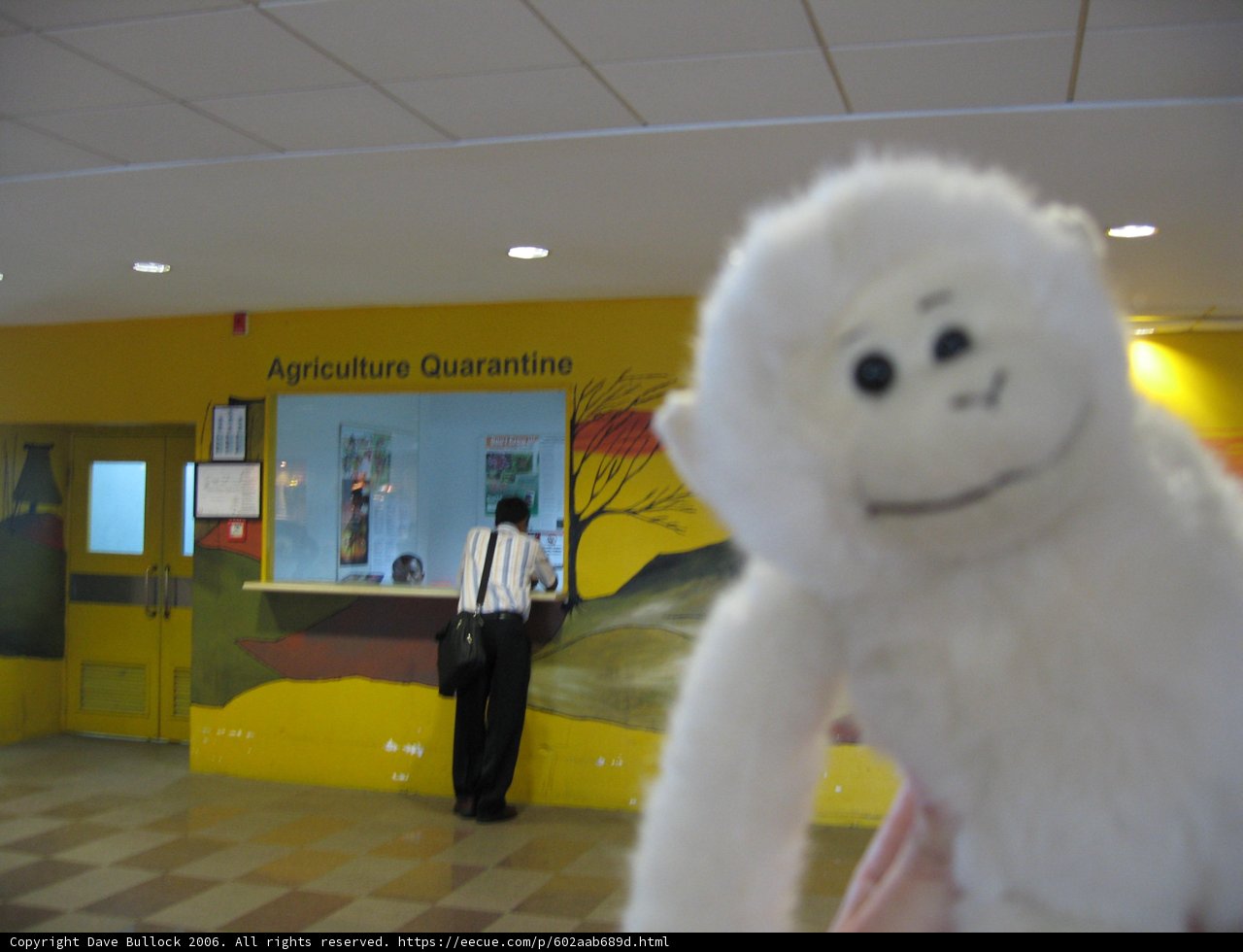 Monkeying Around in Fiji