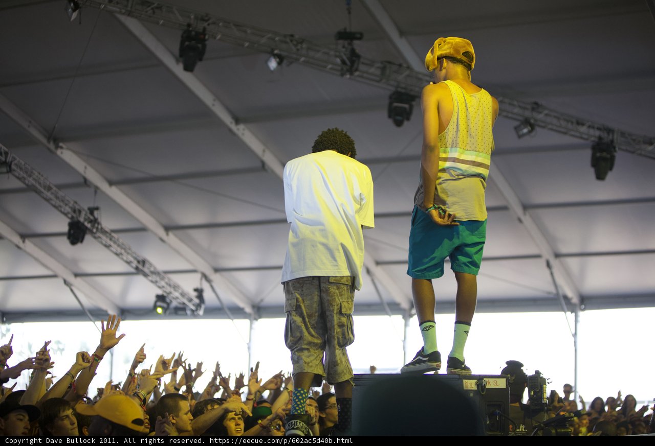 Live Performance at Coachella Music Festival