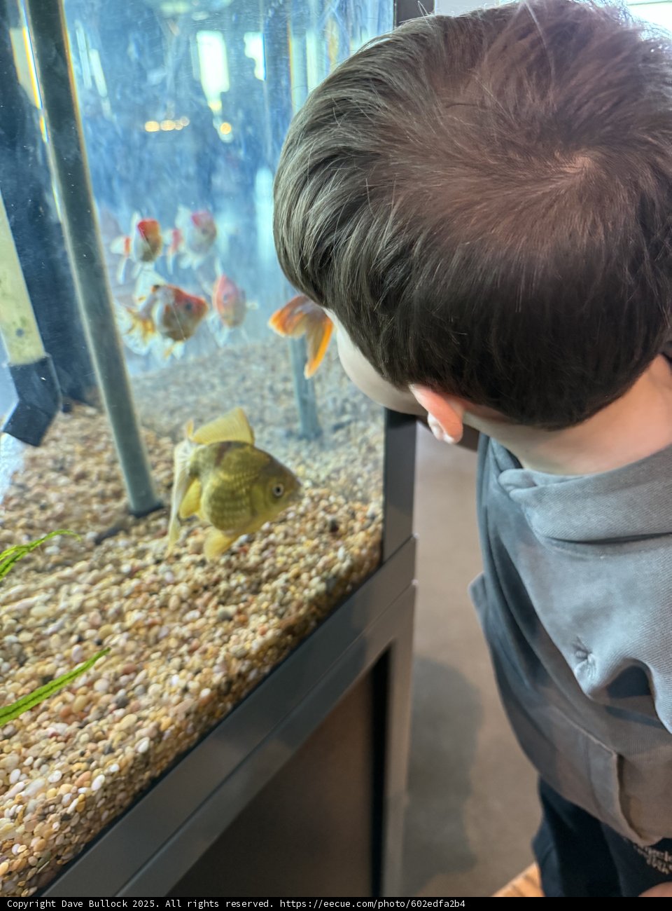 Mesmerized by the Underwater World