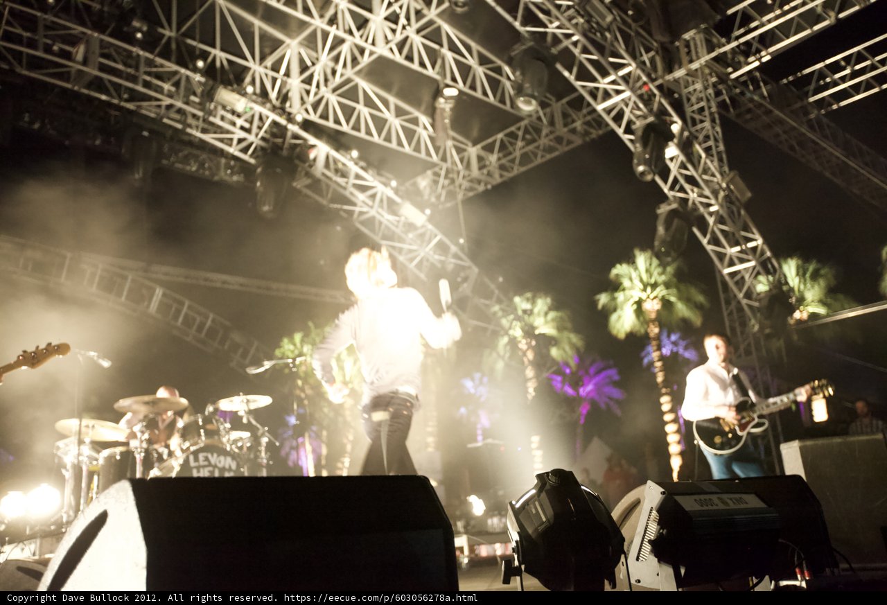 Rockin' Under the Palm Trees