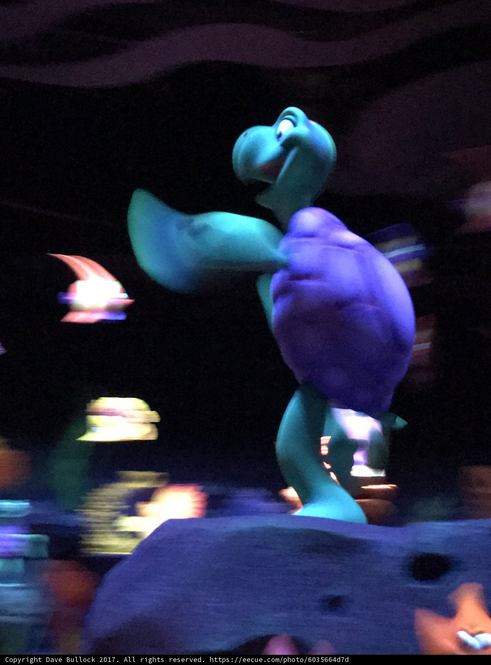 Nighttime Float