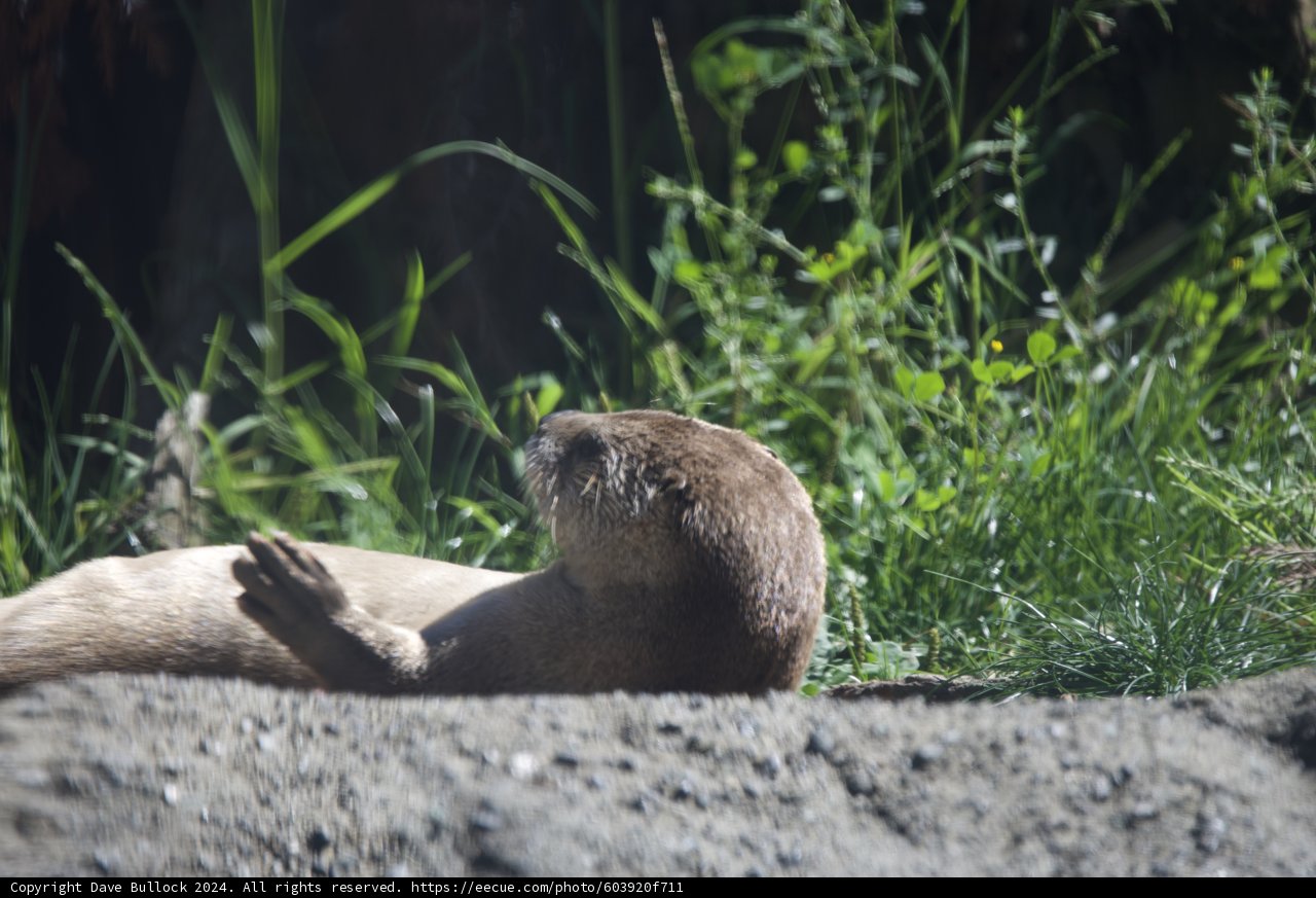 Bask in the Natural Bliss