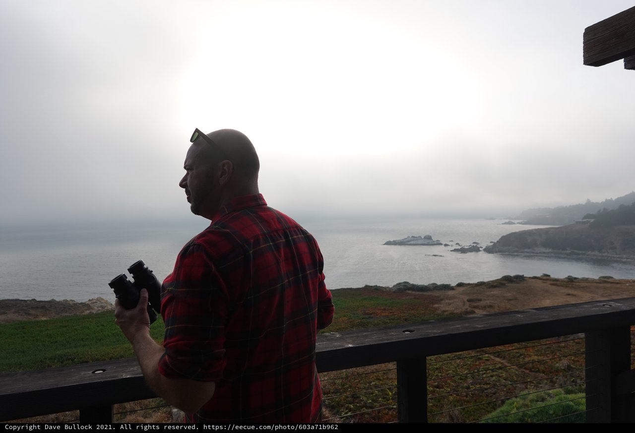 Coastal Photography Adventure on Misty Morning