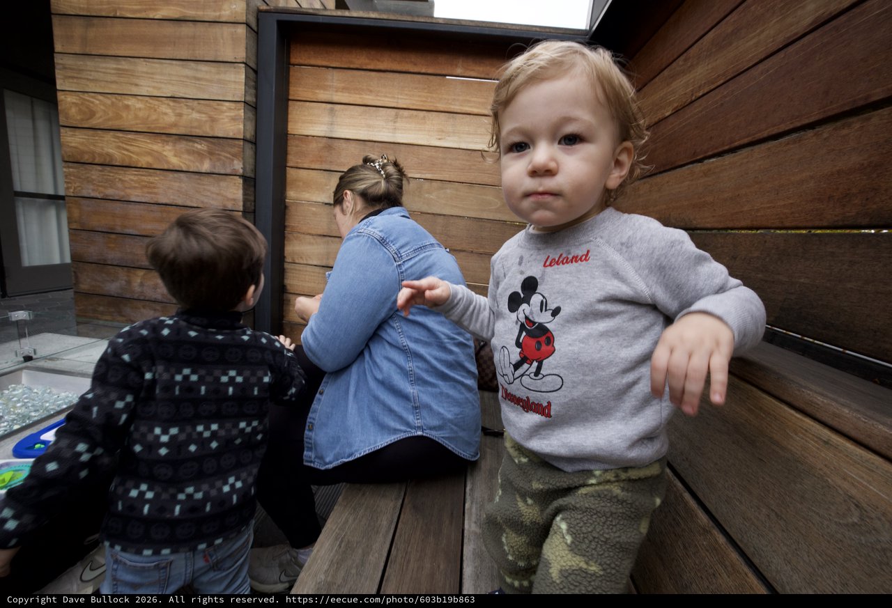 Young Child in Mickey Mouse Sweatshirt on Wooden Deck