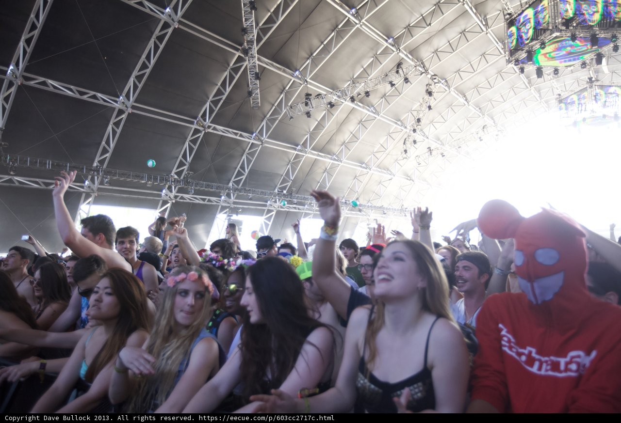 The Ultimate Party Crowd at Coachella