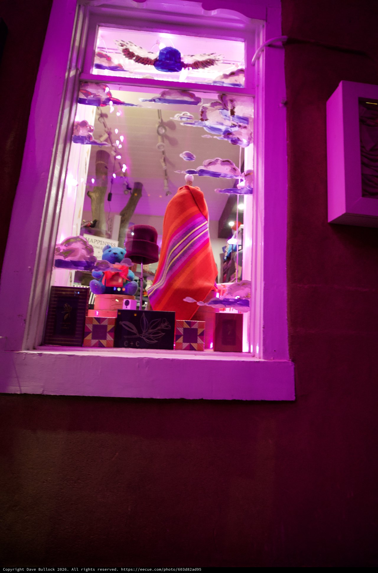 Purple-Lit Window Display with Colorful Crafts and Toys