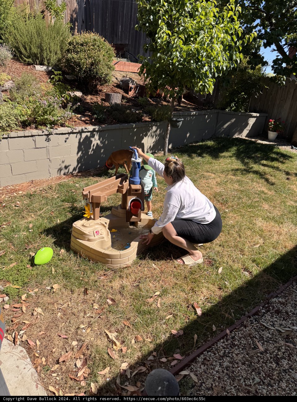 Morning Play in a San Francisco Backyard