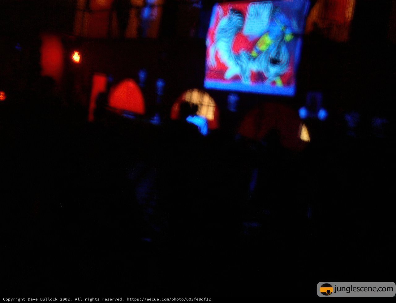 Clubgoer mesmerized by the screen