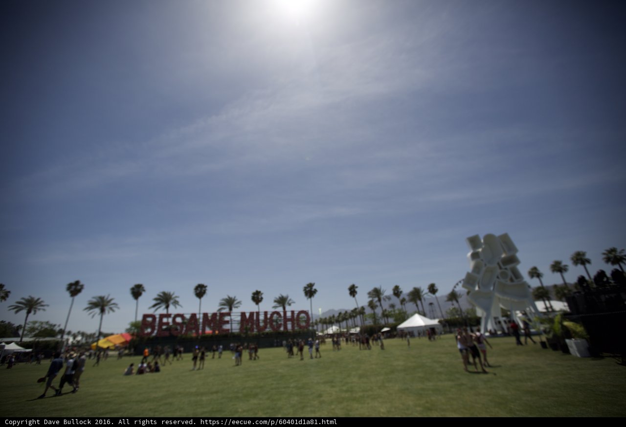 A Day in the Field at Coachella