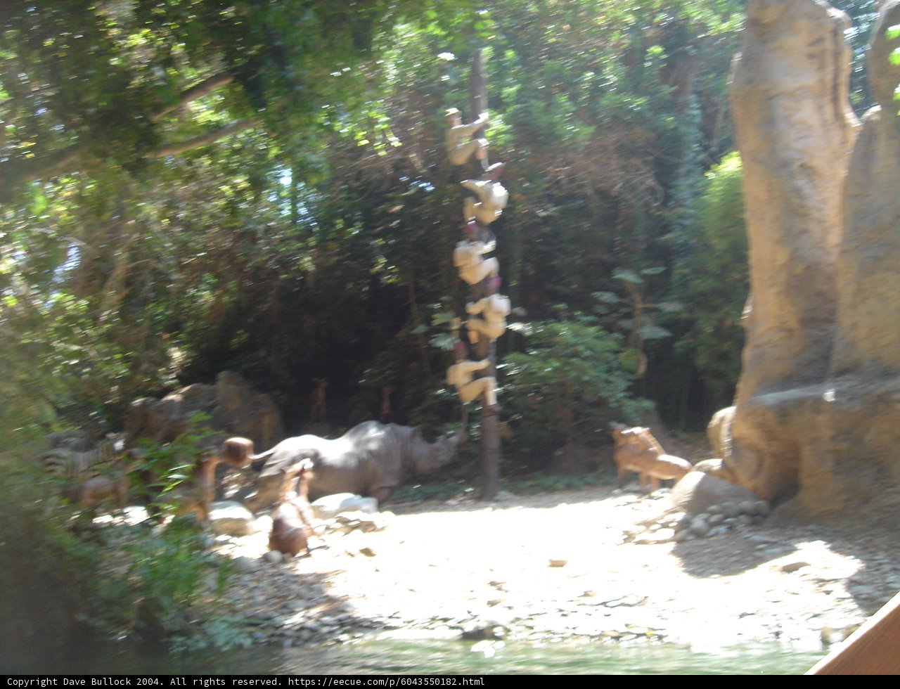 Wildlife Wonders at the Zoo