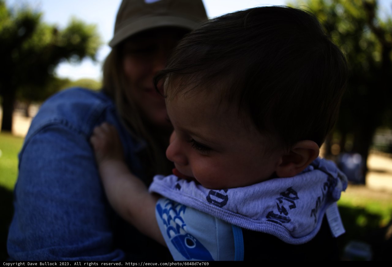 Embracing Bonds at the California Academy of Sciences