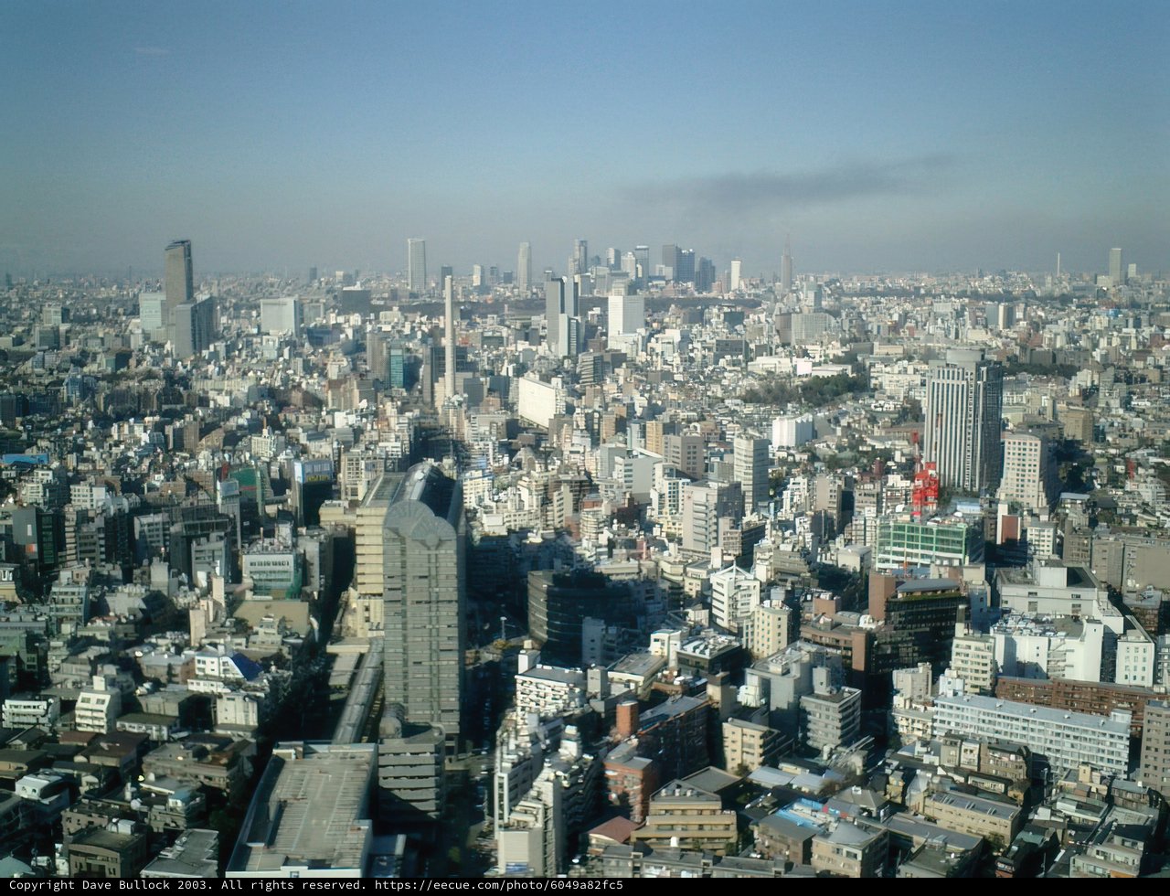 Tokyo's Thriving Metropolis