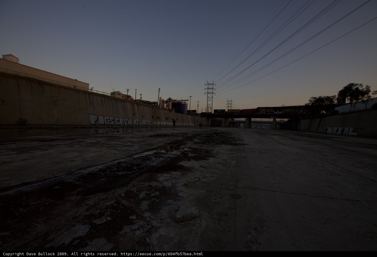 Lone Road in the Urban Jungle
