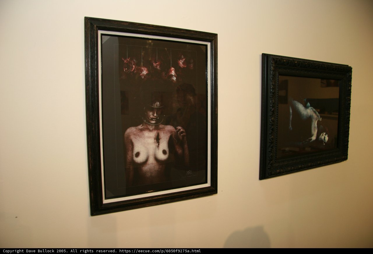 Artistic Nudes in Frames