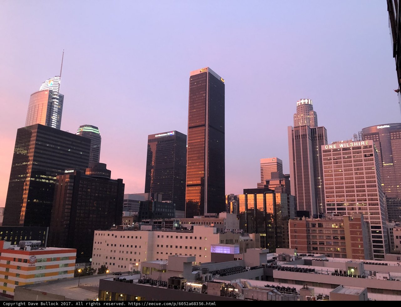 Sunset over the Urban Jungle