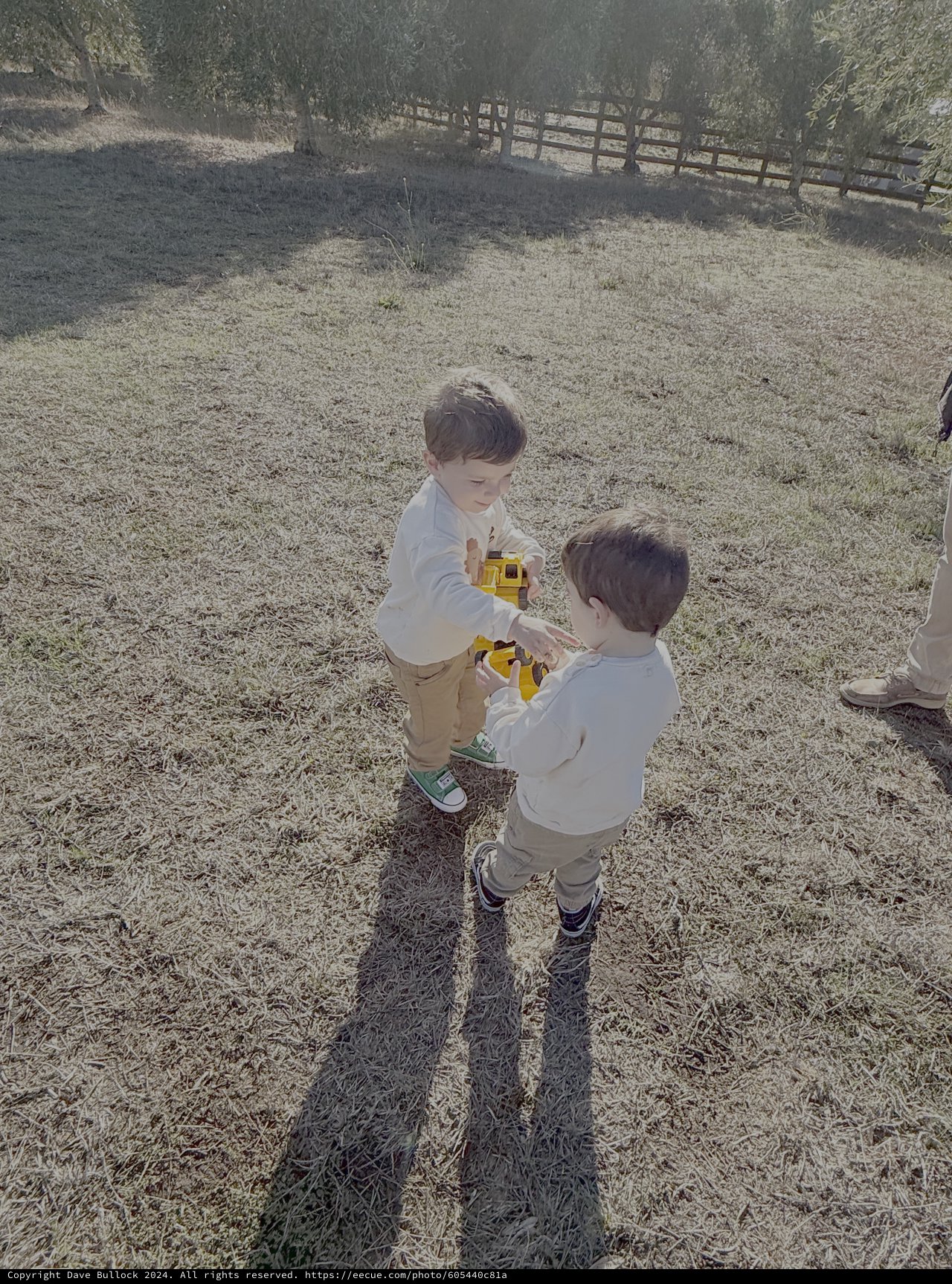 Two Young Boys Playing with Yellow Toy Truck