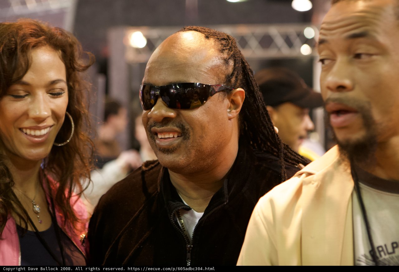 Stevie Wonder rocking the dreads