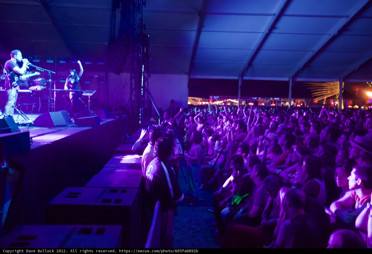 Urban Nightlife: Excitement at the Concert