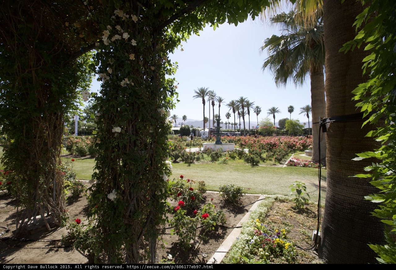 Summer Garden Paradise
