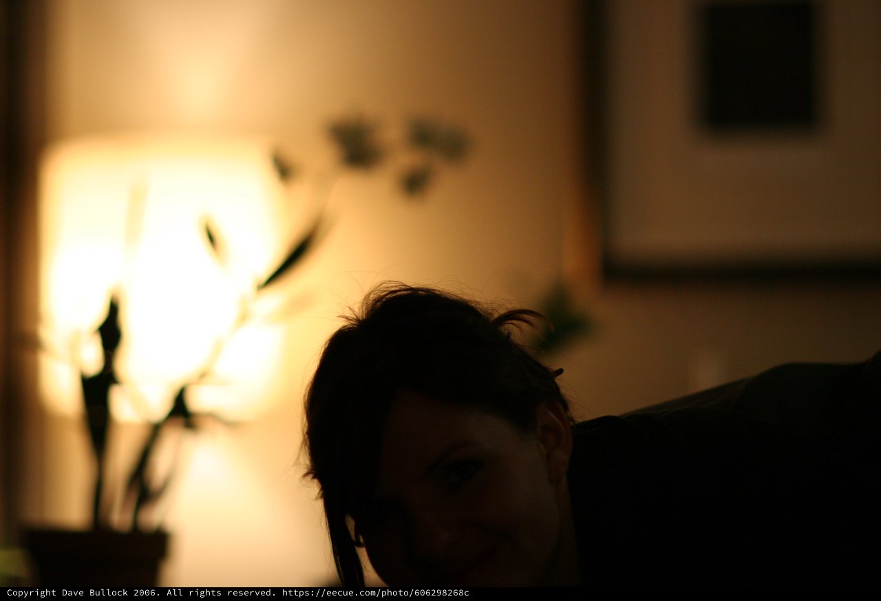Silhouette of Penelope in Warm Lamplight Glow