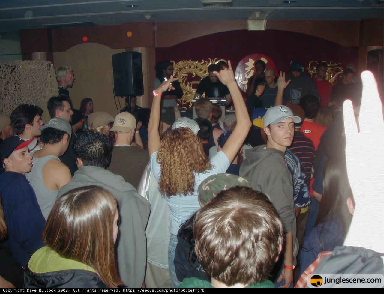 Night Club Crowd Goes Wild