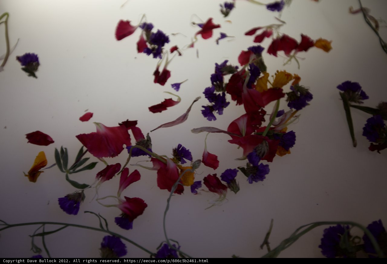Dried Flower Bouquet Delight