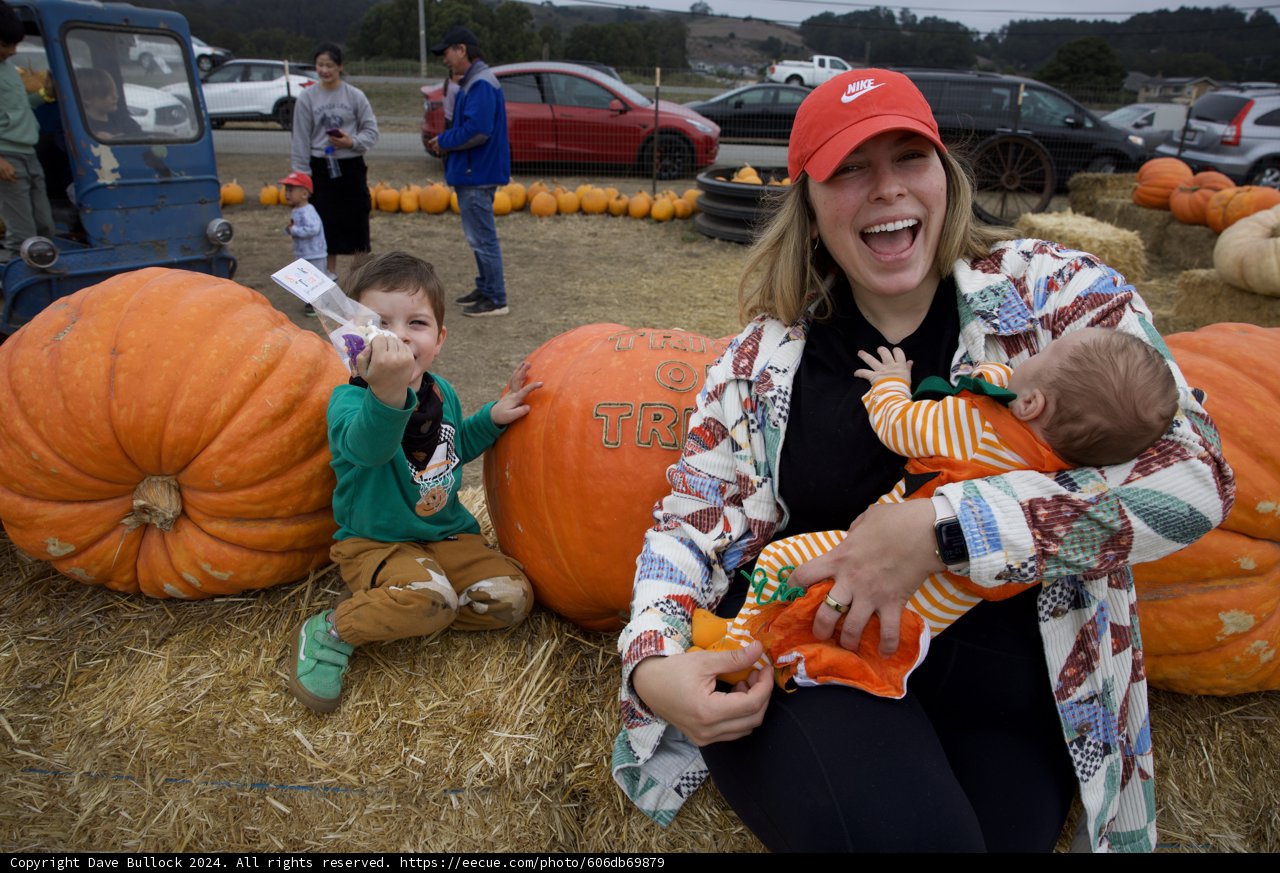 Pumpkin Patch Fun