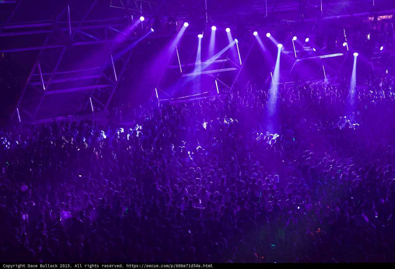 Purple Haze Concert
