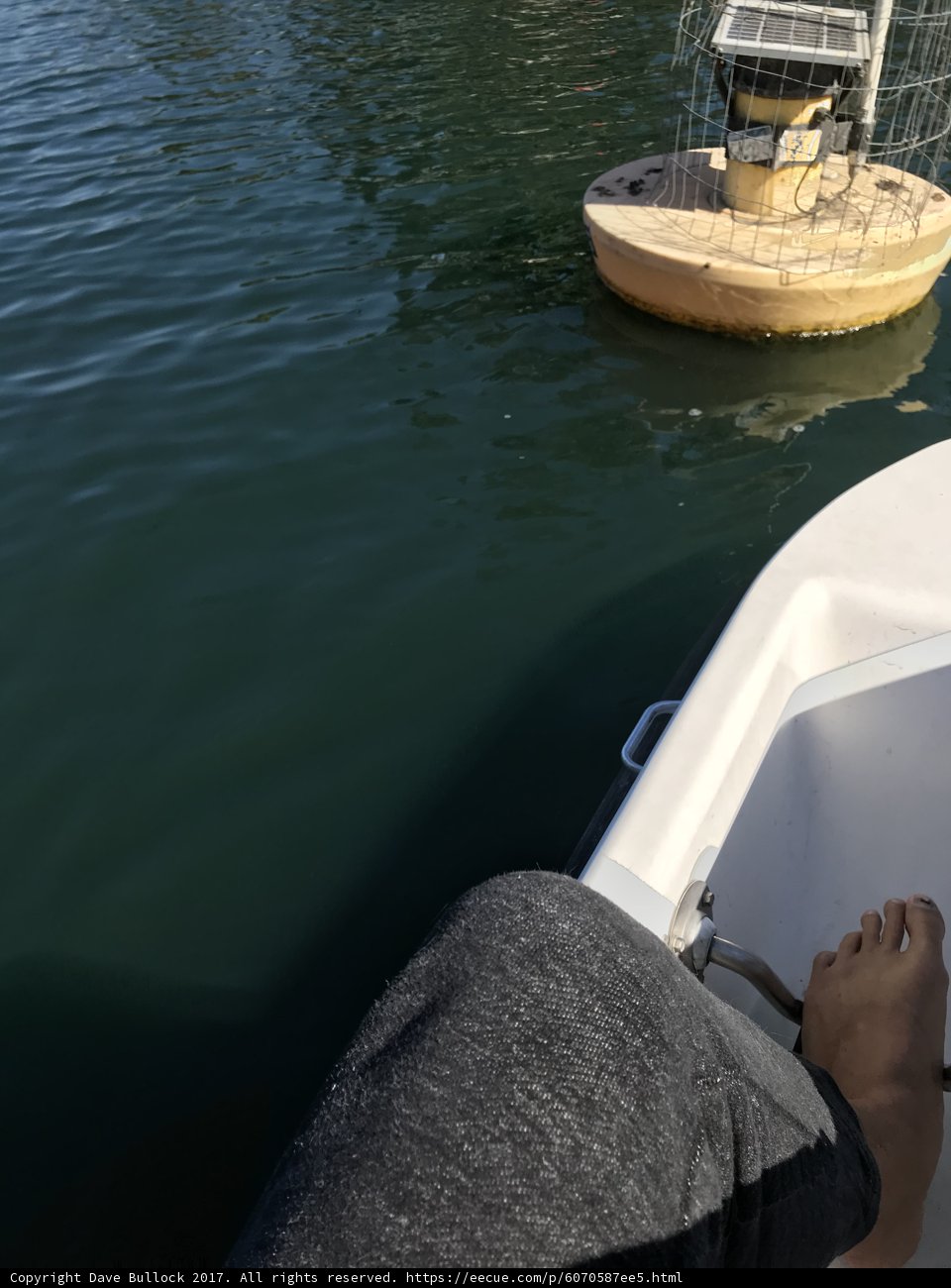 Barefoot on a Sailboat