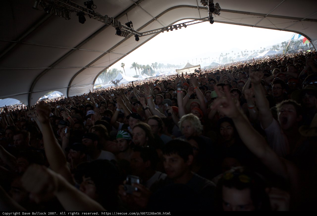 Electric Crowd at Coachella