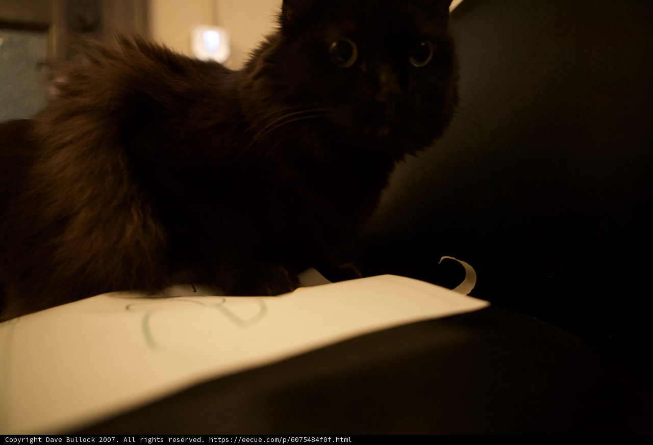 The Nighttime Watcher