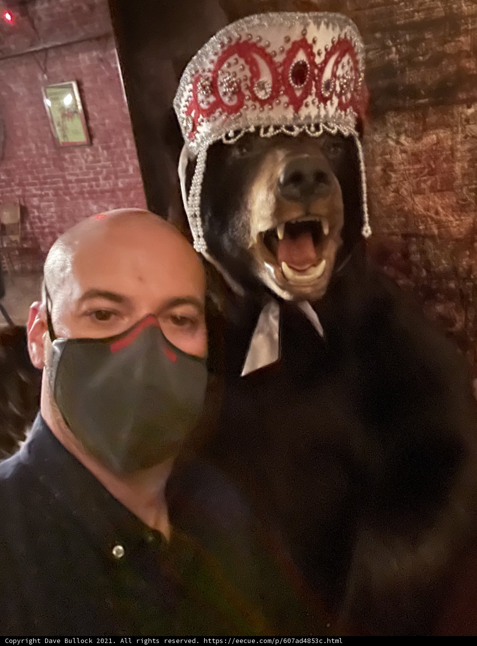 The Man and the Bear: A Unique Portrait
