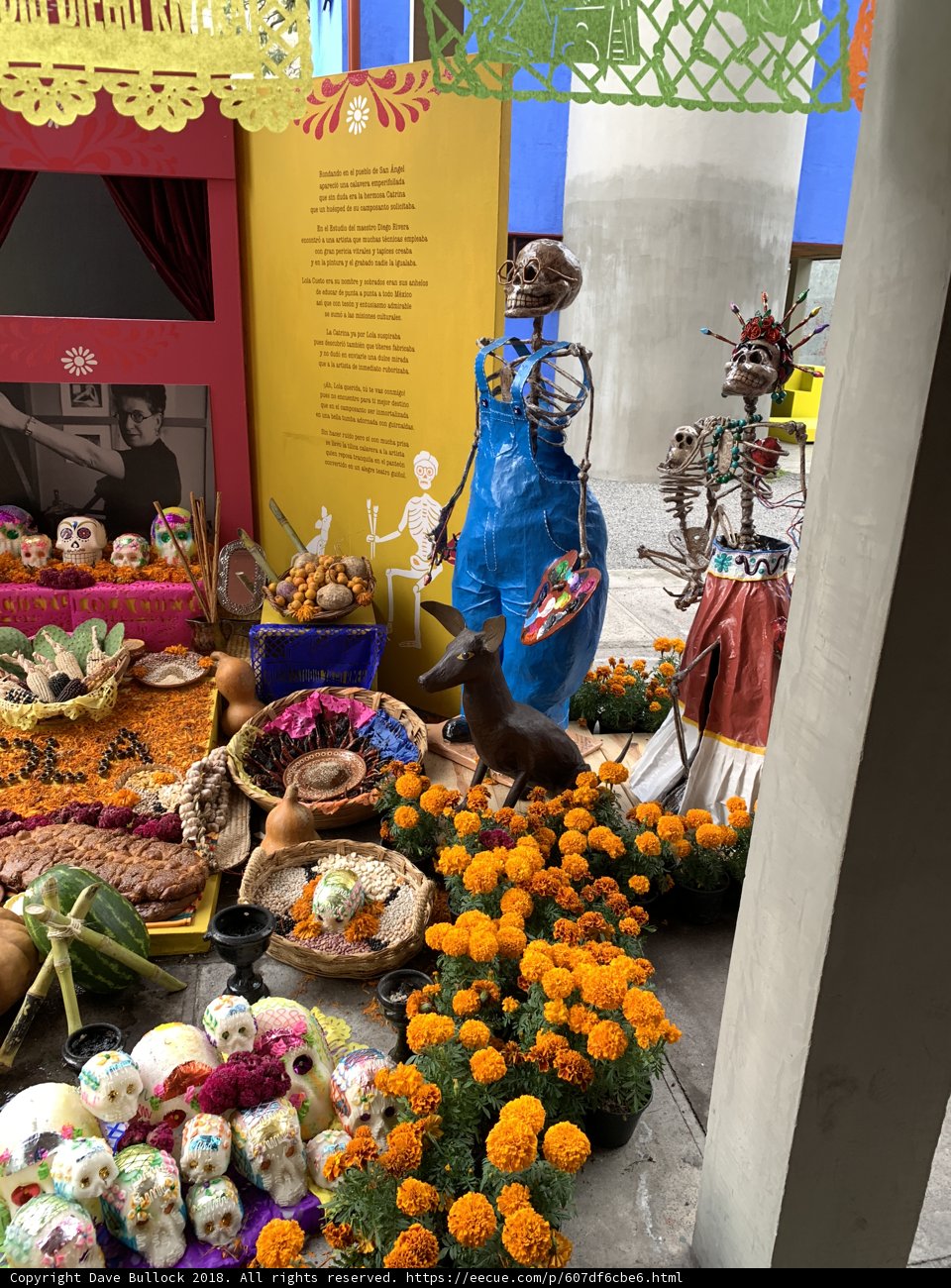 Floral Market Display
