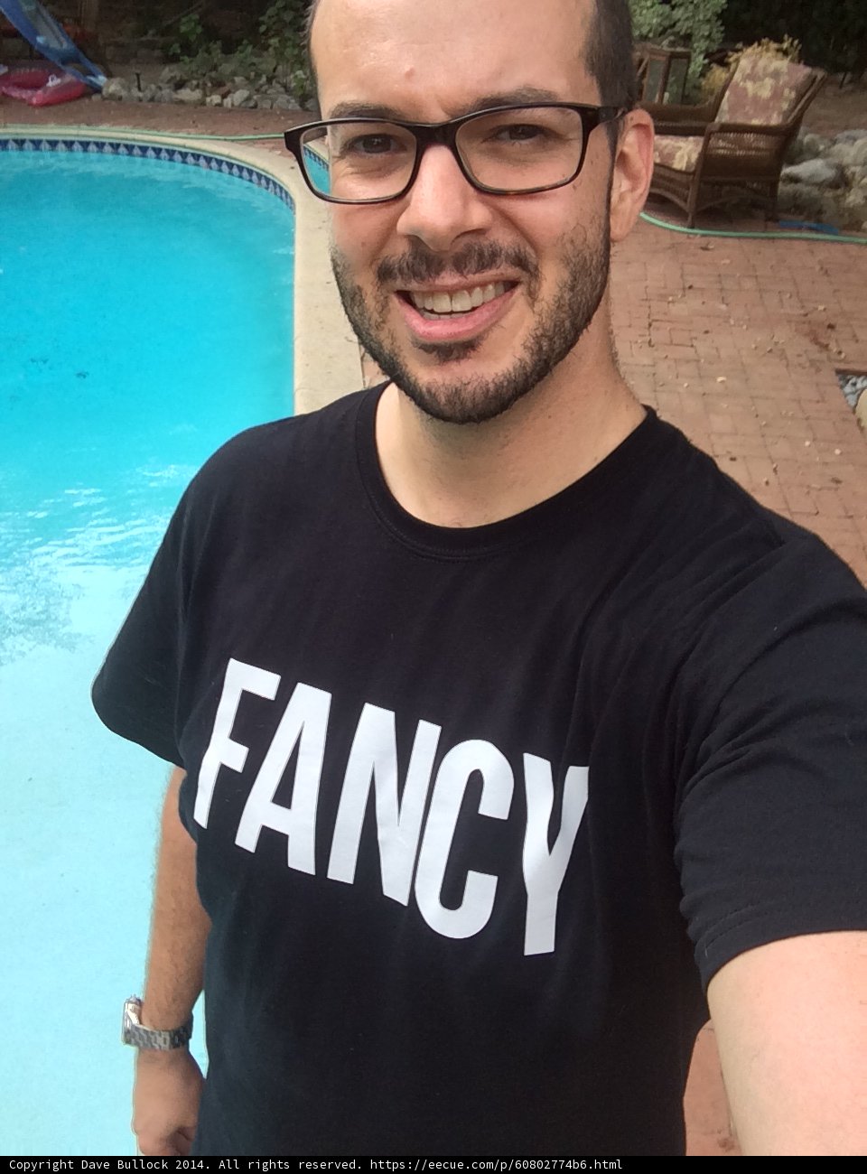 Fancy Dave by the Poolside