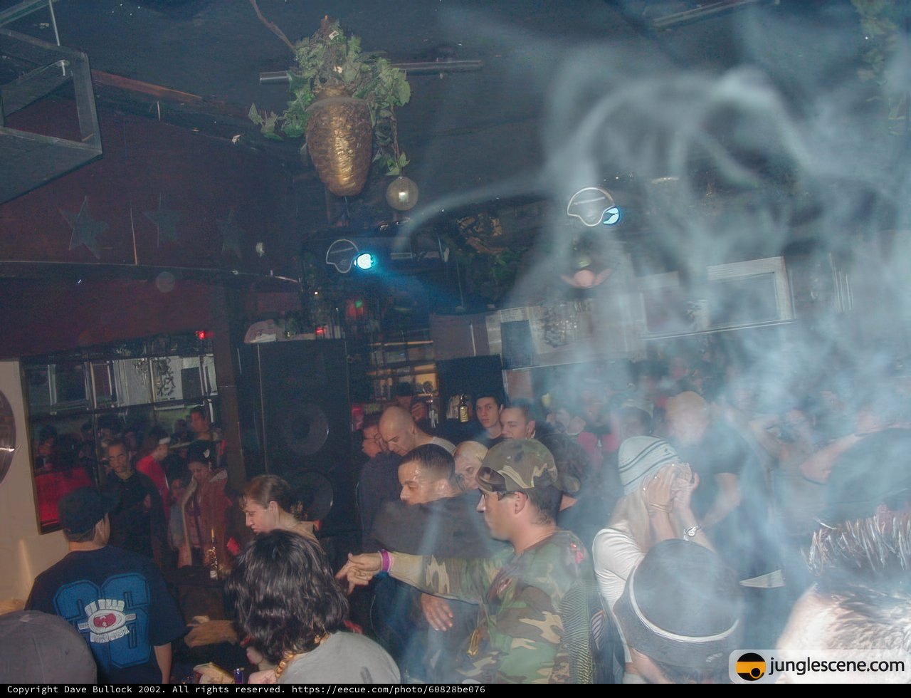 Smoke-filled Nightclub Party