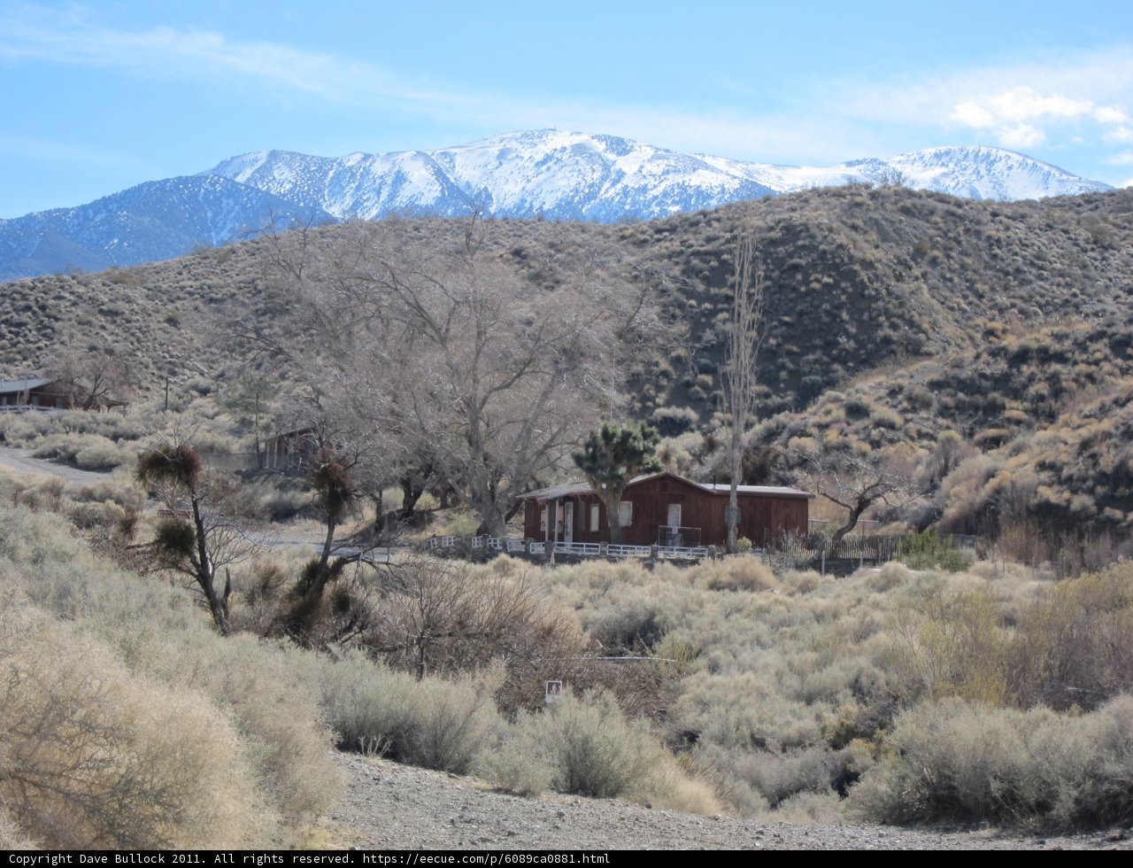 Desert Hut