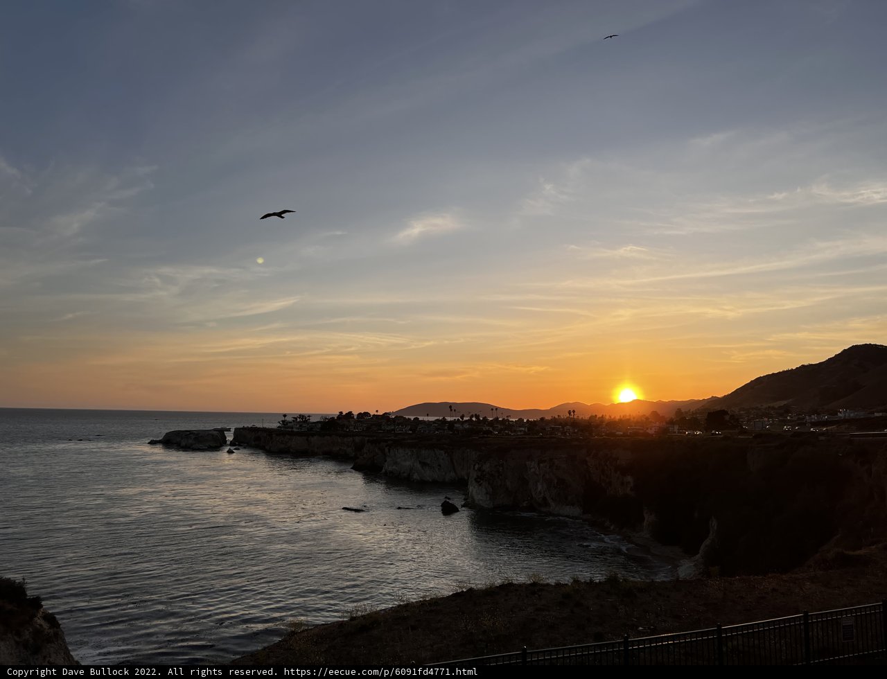 Sunset Flight