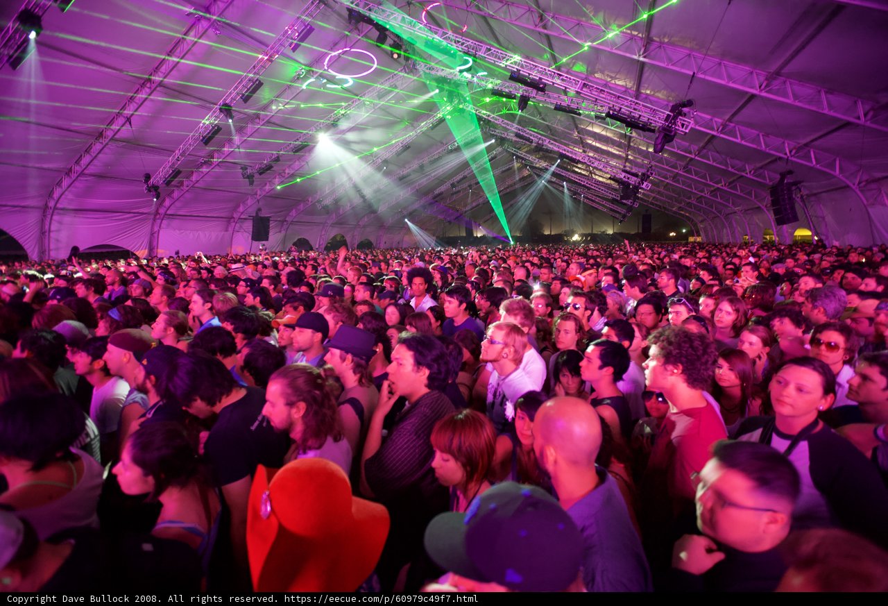 Purple Haze at Coachella