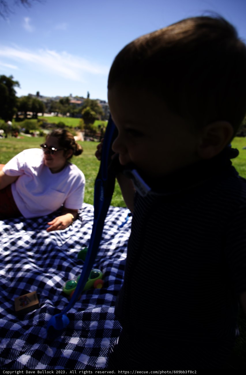 Playtime at the Park: Summer 2023
