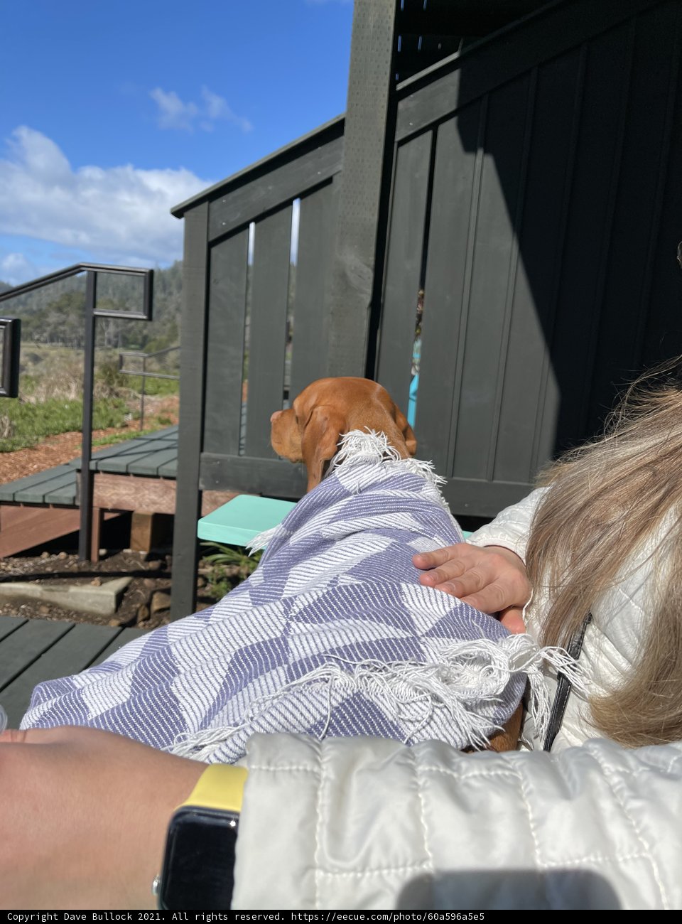 A Woman and her Furry Companion on the Porch
