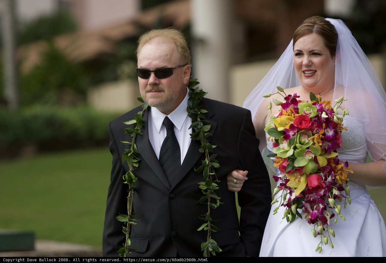 Wedding Bliss