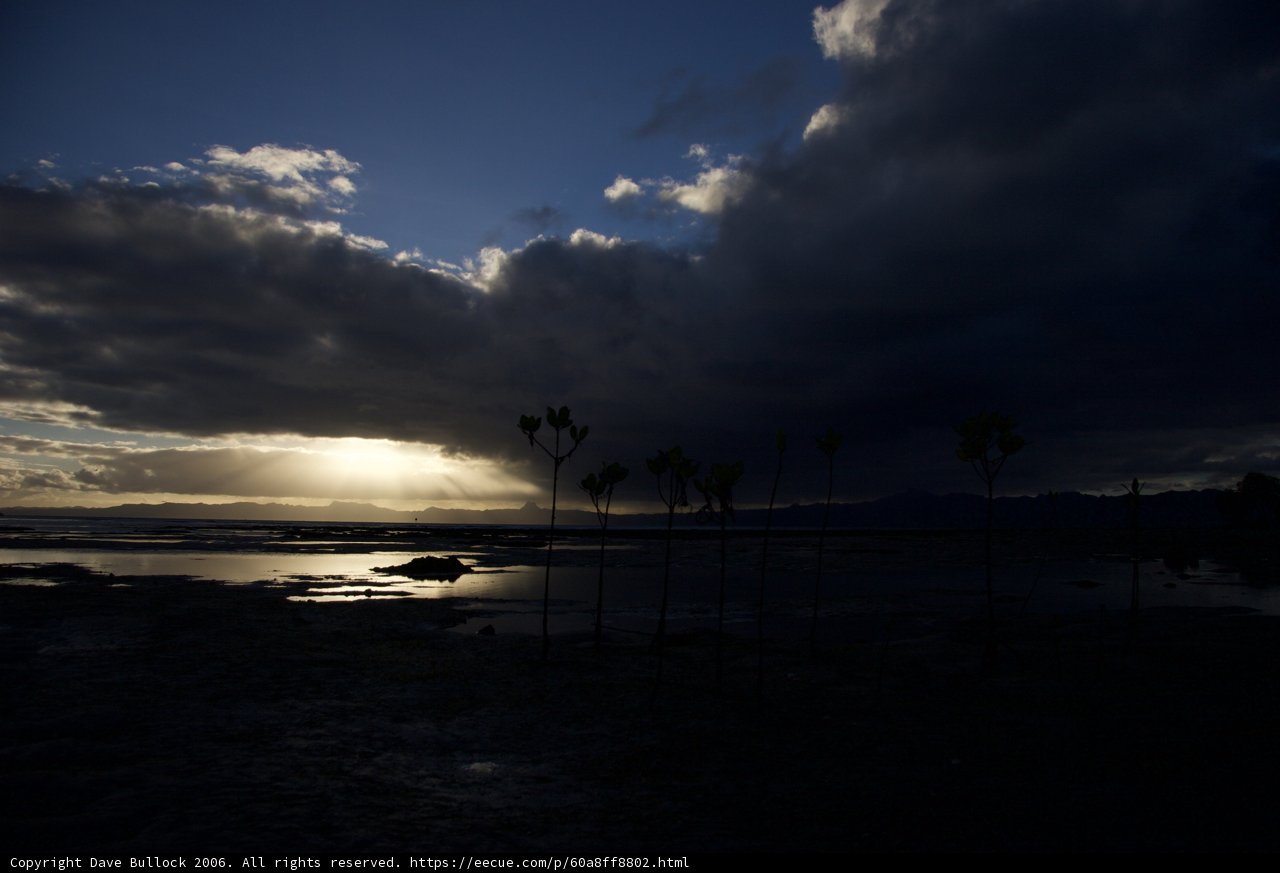Moody Horizon