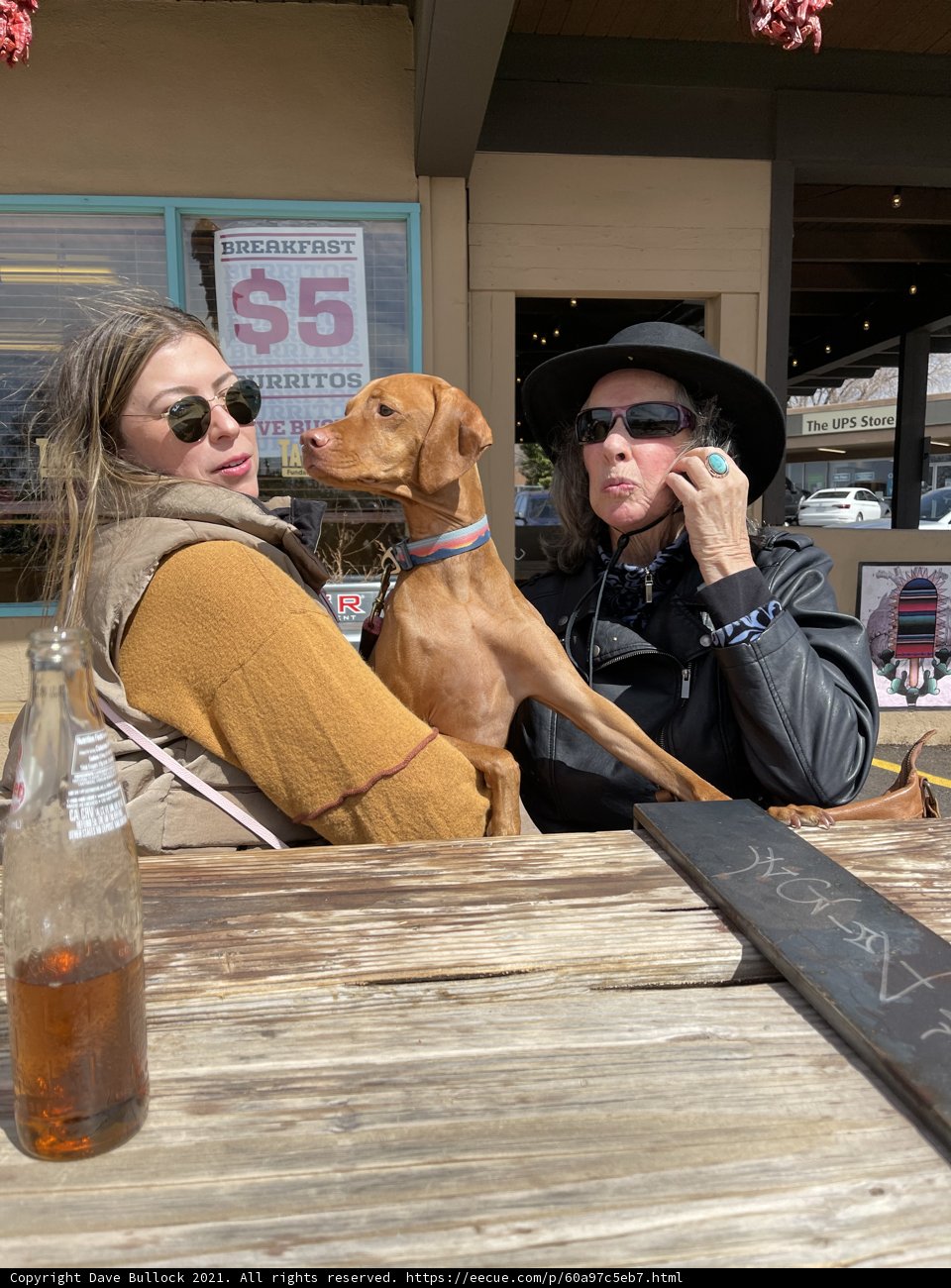 A relaxing afternoon with furry friend