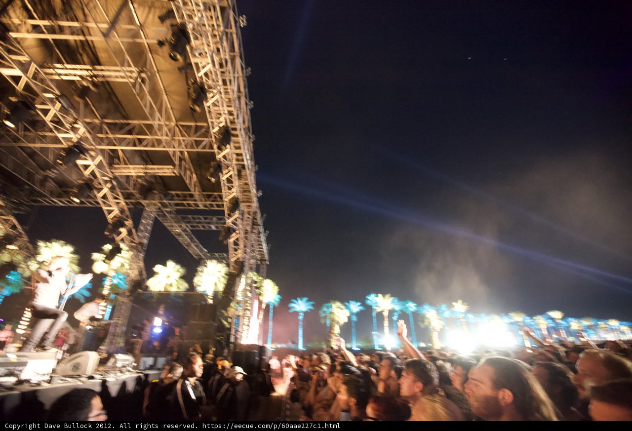 Palm Trees and a Packed Performance